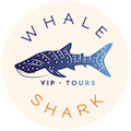 Private VIP Whale Shark Tour