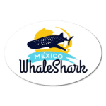 mexico whaleshark
